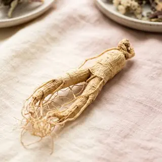 Amerikanischer Ginseng